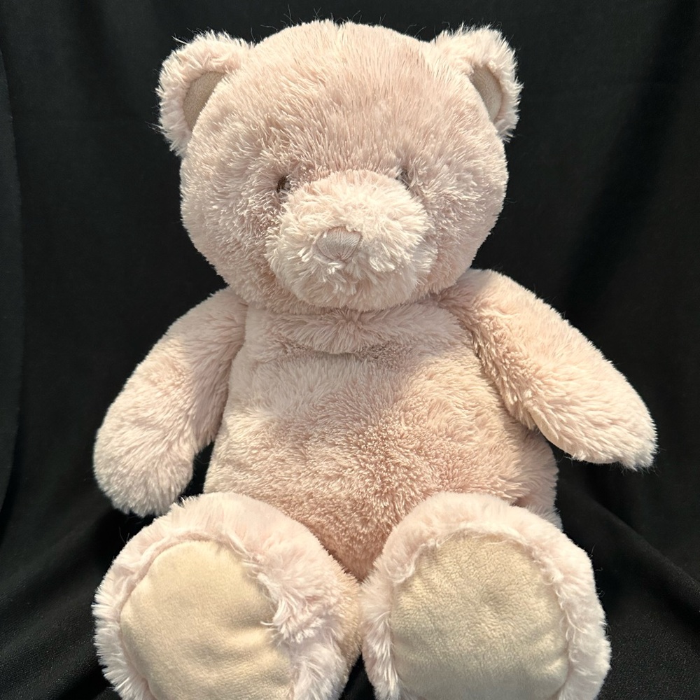 Baby Gund Soft Pink Plush Cuddly Teddy Bear Stuffed Animal Toy